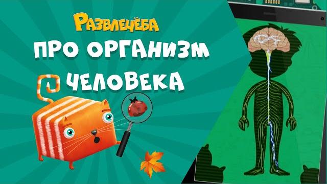 Развлечёба. Окружающий мир. Про организм человека Развлечёба. Окружающий мир. Про организм человека