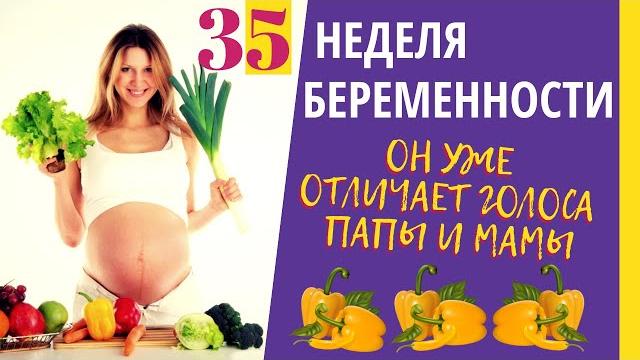 35 неделя беременности. Развитие плода. Что чувствует беременная. Как выглядит ребенок на 35 неделе 35 неделя беременности. Развитие плода. Что чувствует беременная. Как выглядит ребенок на 35 неделе