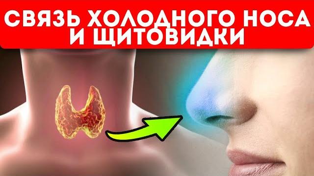 Проверь одним движением! Топ-5 заболеваний, которые начинаются с холодного носа. Как лечить Проверь одним движением! Топ-5 заболеваний, которые начинаются с холодного носа. Как лечить