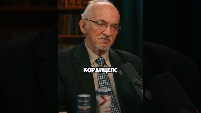 Профессор про ежовик и кордицепс Профессор про ежовик и кордицепс