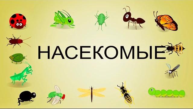 Насекомые мультфильм для малышей Насекомые мультфильм для малышей