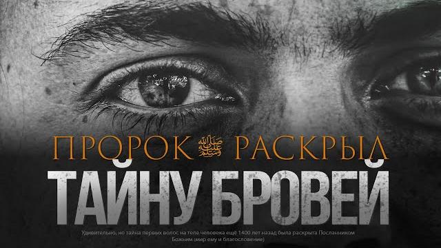 ПРОРОК ﷺ РАСКРЫЛ ТАЙНУ БРОВЕЙ ПРОРОК ﷺ РАСКРЫЛ ТАЙНУ БРОВЕЙ