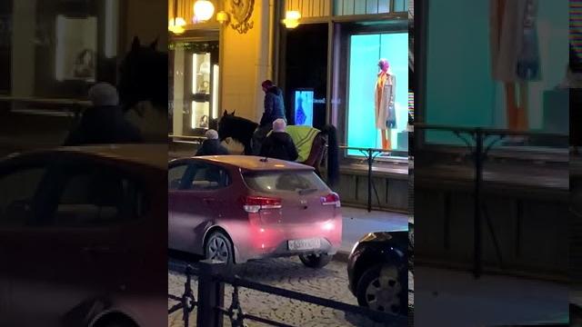 Кто? Кто? Конь в пальто! Кто? Кто? Конь в пальто!