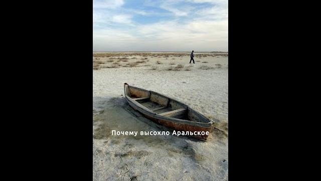 Почему высохло Аральское море на самом деле? Почему высохло Аральское море на самом деле?