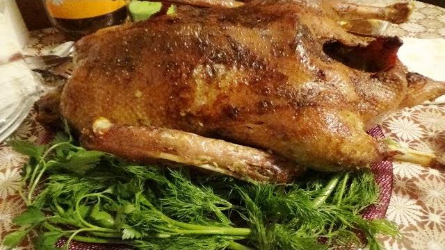 Гусь в духовке! Как приготовить правильно и вкусно?! Гусь в духовке! Как приготовить правильно и вкусно?!