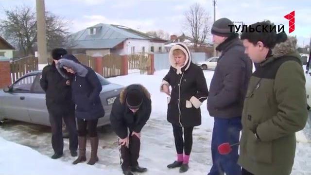 Тульскую область атакуют снежные блохи Тульскую область атакуют снежные блохи