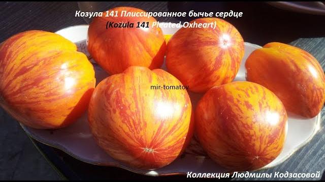 Любимчики и красавчики! (полосатики) Любимчики и красавчики! (полосатики)