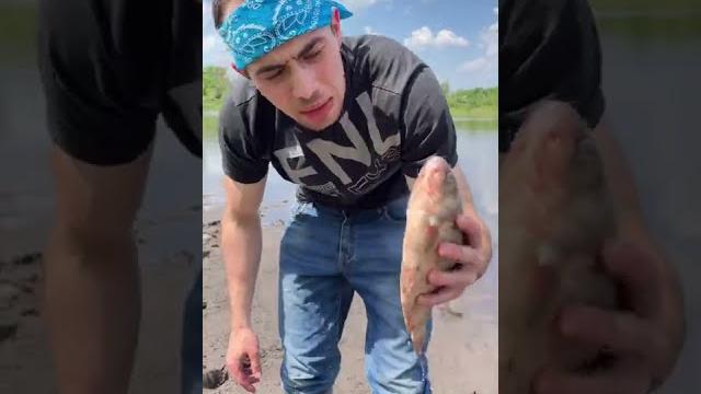 Лайфхак! Как поймать рыбу без удочки Лайфхак! Как поймать рыбу без удочки