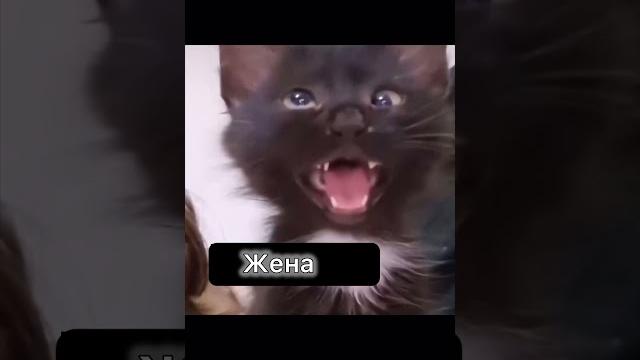 Жена и электрика #электрика #юмор #ремонтквартир Жена и электрика #электрика #юмор #ремонтквартир