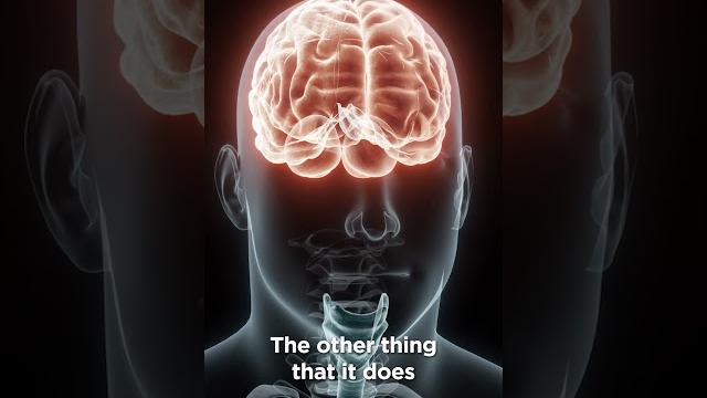 The psychiatric benefits of N-acetylcysteine (NAC) The psychiatric benefits of N-acetylcysteine (NAC)