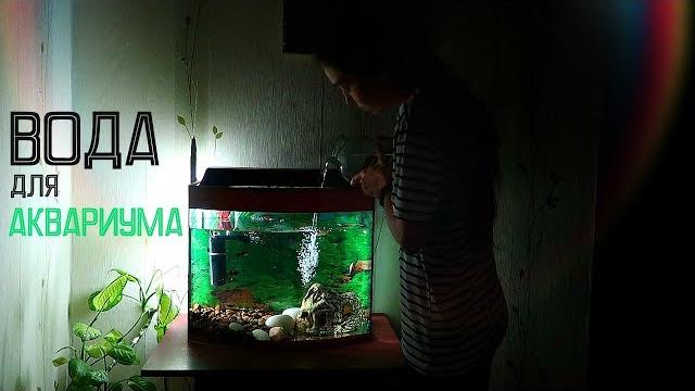 Сколько отстаивать воду для аквариума? Сколько отстаивать воду для аквариума?