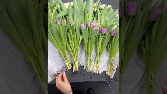 КАК РАБОТАТЬ С ТЮЛЬПАНАМИ. #flowers #цветы КАК РАБОТАТЬ С ТЮЛЬПАНАМИ. #flowers #цветы