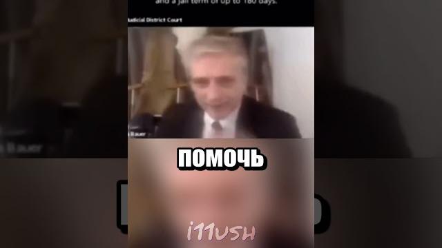 Судебное заседание с котиком Судебное заседание с котиком