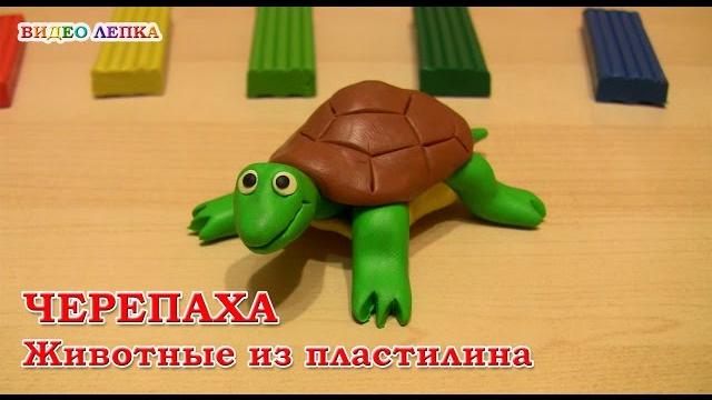 ЧЕРЕПАХА - Лепим из пластилина | Видео Лепка ЧЕРЕПАХА - Лепим из пластилина | Видео Лепка