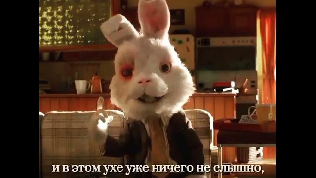 как тестируют косметику на кроликах как тестируют косметику на кроликах