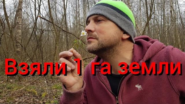 На черничный хутор приехали землемеры и пчеловод . Нам одобрили 1 га земли ! Садим деревья в лесу . На черничный хутор приехали землемеры и пчеловод . Нам одобрили 1 га земли ! Садим деревья в лесу .
