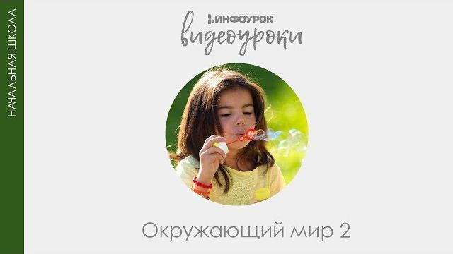 Горизонт. Стороны горизонта. Ориентирование по компасу | Окружающий мир 2 класс #20 | Инфоурок Горизонт. Стороны горизонта. Ориентирование по компасу | Окружающий мир 2 класс #20 | Инфоурок