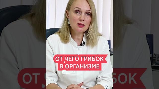 Почему растет грибок кандида в организме человека Почему растет грибок кандида в организме человека