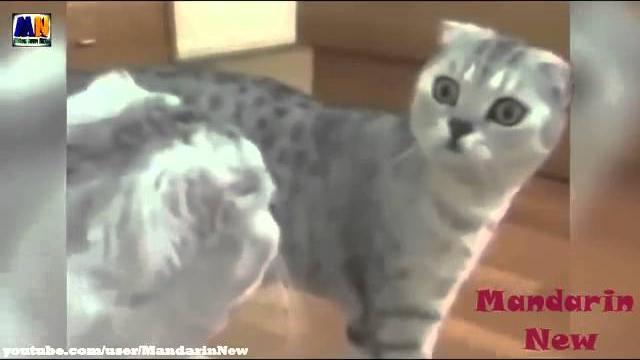 Подборка приколов Март 2015 Выпуск №35 Fails Compilation 2015 Смешное Видео Приколы Улетное Видео F Подборка приколов Март 2015 Выпуск №35 Fails Compilation 2015 Смешное Видео Приколы Улетное Видео F
