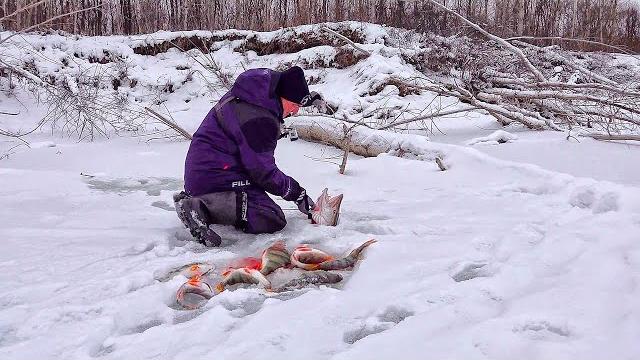 ТА САМАЯ ЛУНКА, КОТОРУЮ Я ИСКАЛ! Поклёвка, которую не забыть! Рыбалка на балансиры в коряжнике ТА САМАЯ ЛУНКА, КОТОРУЮ Я ИСКАЛ! Поклёвка, которую не забыть! Рыбалка на балансиры в коряжнике