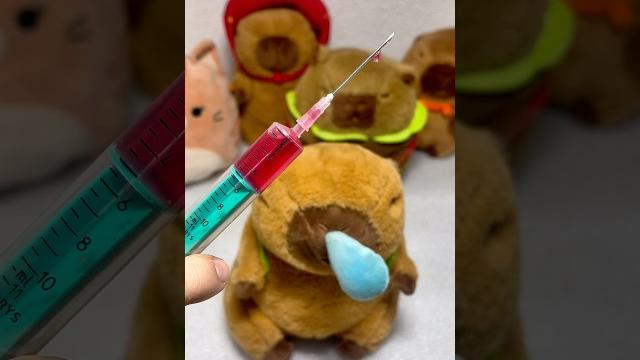 Ending is sick #capybara #cuteanimals #funny Ending is sick #capybara #cuteanimals #funny