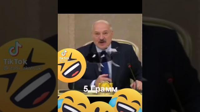 пародия Лукашенко (польская корова) пародия Лукашенко (польская корова)