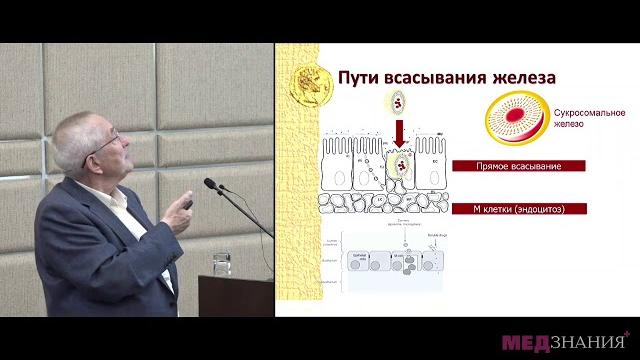 09 Новое в лечении железодефицитной анемии 09 Новое в лечении железодефицитной анемии