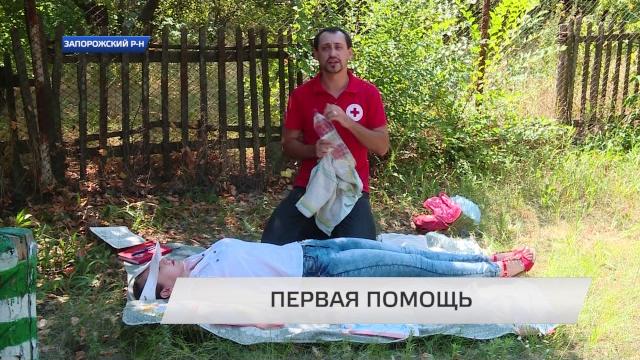 Как отличить тепловой удар от солнечного Как отличить тепловой удар от солнечного