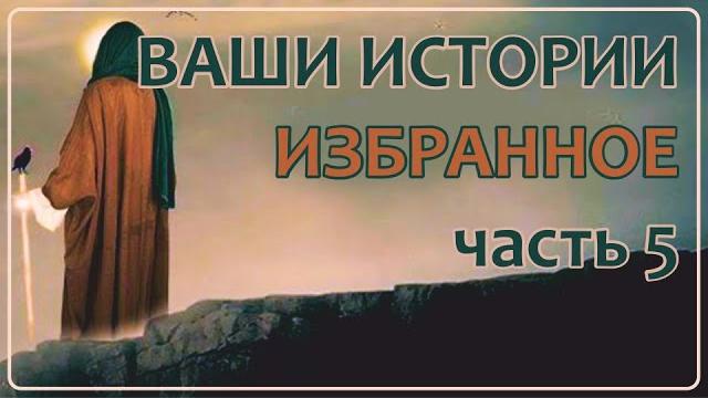Ваши Истории - Избранное (часть 5) Ваши Истории - Избранное (часть 5)