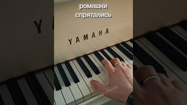 ромашки спрятались поникли лютики Музыка Евгений Птичкин Слова Игорь Шаферан grandpiano lesson Easy ромашки спрятались поникли лютики Музыка Евгений Птичкин Слова Игорь Шаферан grandpiano lesson Easy