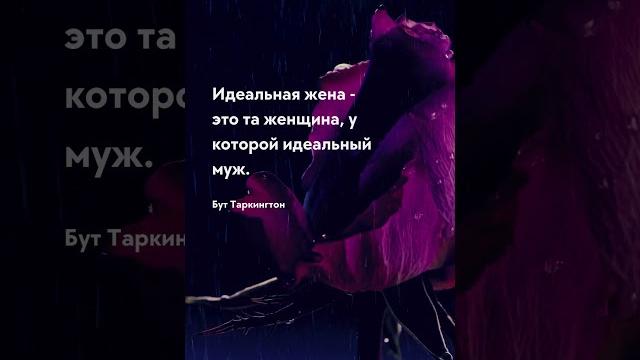 Идеальная жена - цитата Семья - мужчины и женщины - цитаты #семья #жена #мужчины #женщины #цитаты Идеальная жена - цитата Семья - мужчины и женщины - цитаты #семья #жена #мужчины #женщины #цитаты