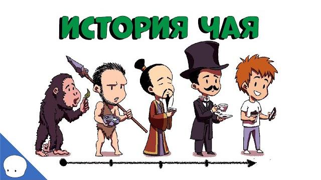 История чая - Сторик (История на пальцах) История чая - Сторик (История на пальцах)