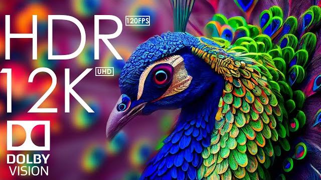 12K HDR 120fps Dolby Vision with Calming Music (Animal Colorful Life) 12K HDR 120fps Dolby Vision with Calming Music (Animal Colorful Life)