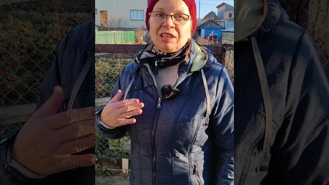 Я уложила тротуарную плитку на песок Я уложила тротуарную плитку на песок