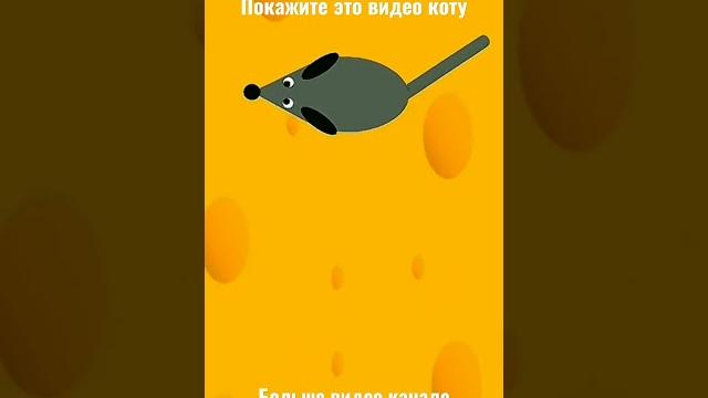 Мидео для котов мышка Мидео для котов мышка