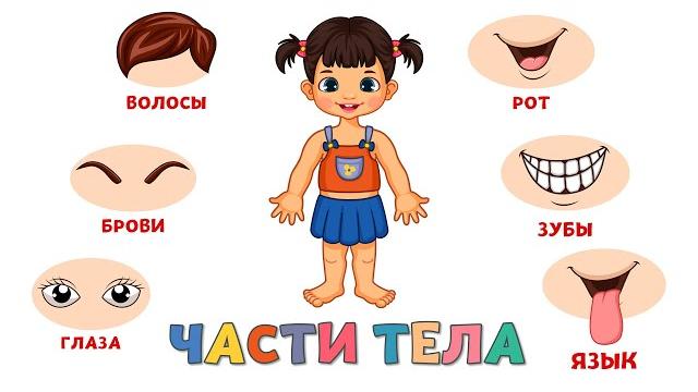 Учим части тела для детей Развивающие мультики для малышей Учим части тела для детей Развивающие мультики для малышей