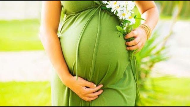 ОТ ЗАЧАТИЯ ДО РОДОВ. ВНУТРИУТРОБНОЕ РАЗВИТИЕ ОТ ЗАЧАТИЯ ДО РОДОВ. ВНУТРИУТРОБНОЕ РАЗВИТИЕ