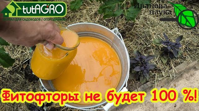 ОРАНЖЕВЫЙ РАСТВОР - СУПЕР СРЕДСТВО ОТ ВСЕХ БОЛЕЗНЕЙ И ВРЕДИТЕЛЕЙ! Испытайте мощь ПРИРОДНОГО СРЕДСТВА ОРАНЖЕВЫЙ РАСТВОР - СУПЕР СРЕДСТВО ОТ ВСЕХ БОЛЕЗНЕЙ И ВРЕДИТЕЛЕЙ! Испытайте мощь ПРИРОДНОГО СРЕДСТВА