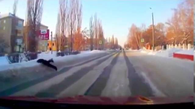 Приколы Статус кво Приколы Статус кво