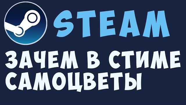 ЗАЧЕМ В СТИМЕ САМОЦВЕТЫ ЗАЧЕМ В СТИМЕ САМОЦВЕТЫ