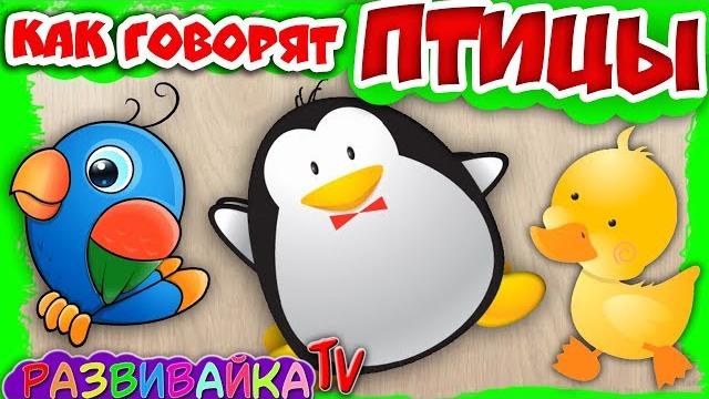 Про птиц для детей. Как говорят птицы. Учим птиц для детей. Развивающие видео про птиц. Пазлы Про птиц для детей. Как говорят птицы. Учим птиц для детей. Развивающие видео про птиц. Пазлы