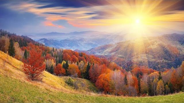 Осень. Рассказываем детям про осень. Золотая осень. Осень. Рассказываем детям про осень. Золотая осень.