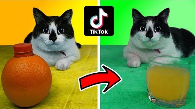 Проверили ПОПУЛЯРНЫЕ ЛАЙФХАКИ из ТИКТОКА..**ОНИ РАБОТАЮТ** 9 ЛАЙФХАКОВ для 23 ФЕВРАЛЯ Проверили ПОПУЛЯРНЫЕ ЛАЙФХАКИ из ТИКТОКА..**ОНИ РАБОТАЮТ** 9 ЛАЙФХАКОВ для 23 ФЕВРАЛЯ