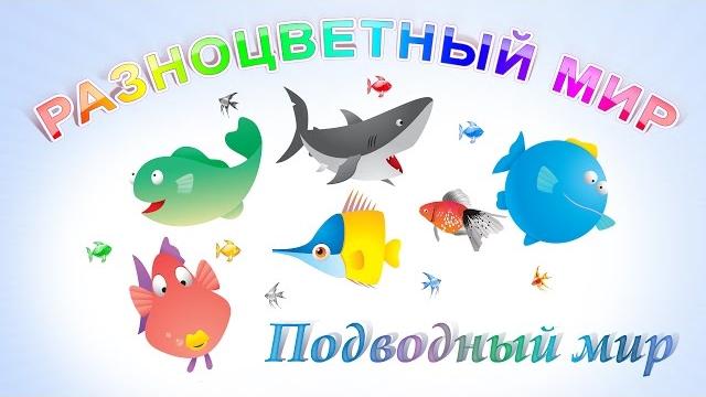 Подводный мир. Развивающее видео для детей. Подводный мир. Развивающее видео для детей.