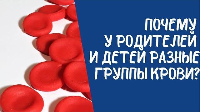 Почему у родителей и детей разные группы крови? Почему у родителей и детей разные группы крови?