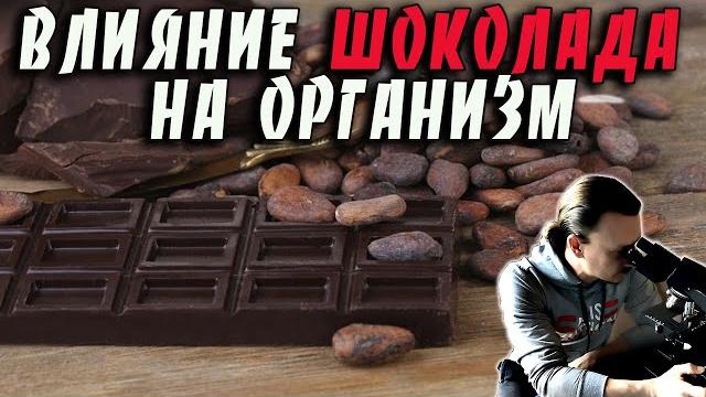 Влияние шоколада какао на организм человека Влияние шоколада какао на организм человека