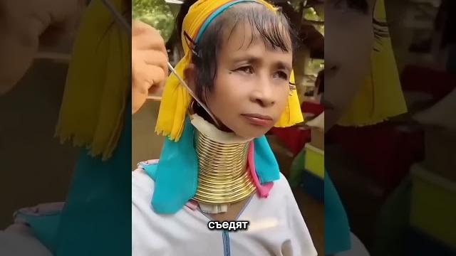 Эти шейные кольца скрывают секрет Эти шейные кольца скрывают секрет