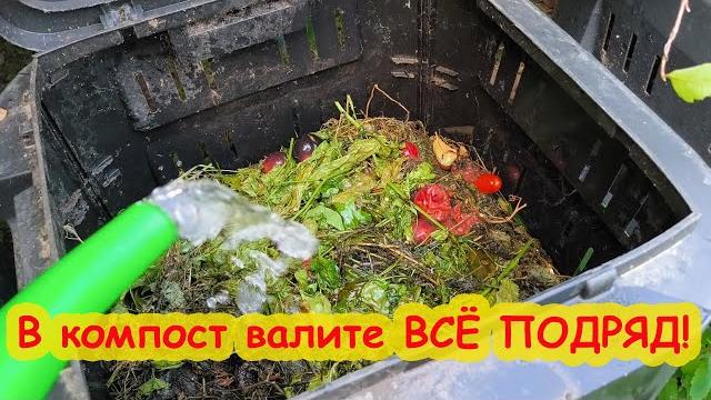 1 ЛОЖКА В КОМПОСТ и ПЕРЕПРЕЮТ ДАЖЕ КОСТИ! Безопасный БЫСТРЫЙ СУПЕРкомпост уже для ОСЕННИХ посадок. 1 ЛОЖКА В КОМПОСТ и ПЕРЕПРЕЮТ ДАЖЕ КОСТИ! Безопасный БЫСТРЫЙ СУПЕРкомпост уже для ОСЕННИХ посадок.