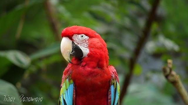 Video 4k Nature / Природа 4к / Красивая природа. Video 4k Nature / Природа 4к / Красивая природа.