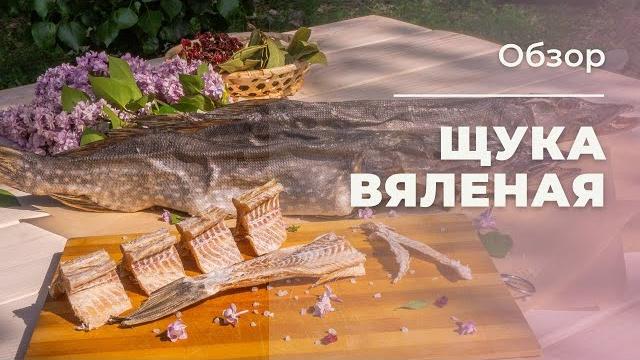 ЩУКА ВЯЛЕНАЯ | Обзор ЩУКА ВЯЛЕНАЯ | Обзор